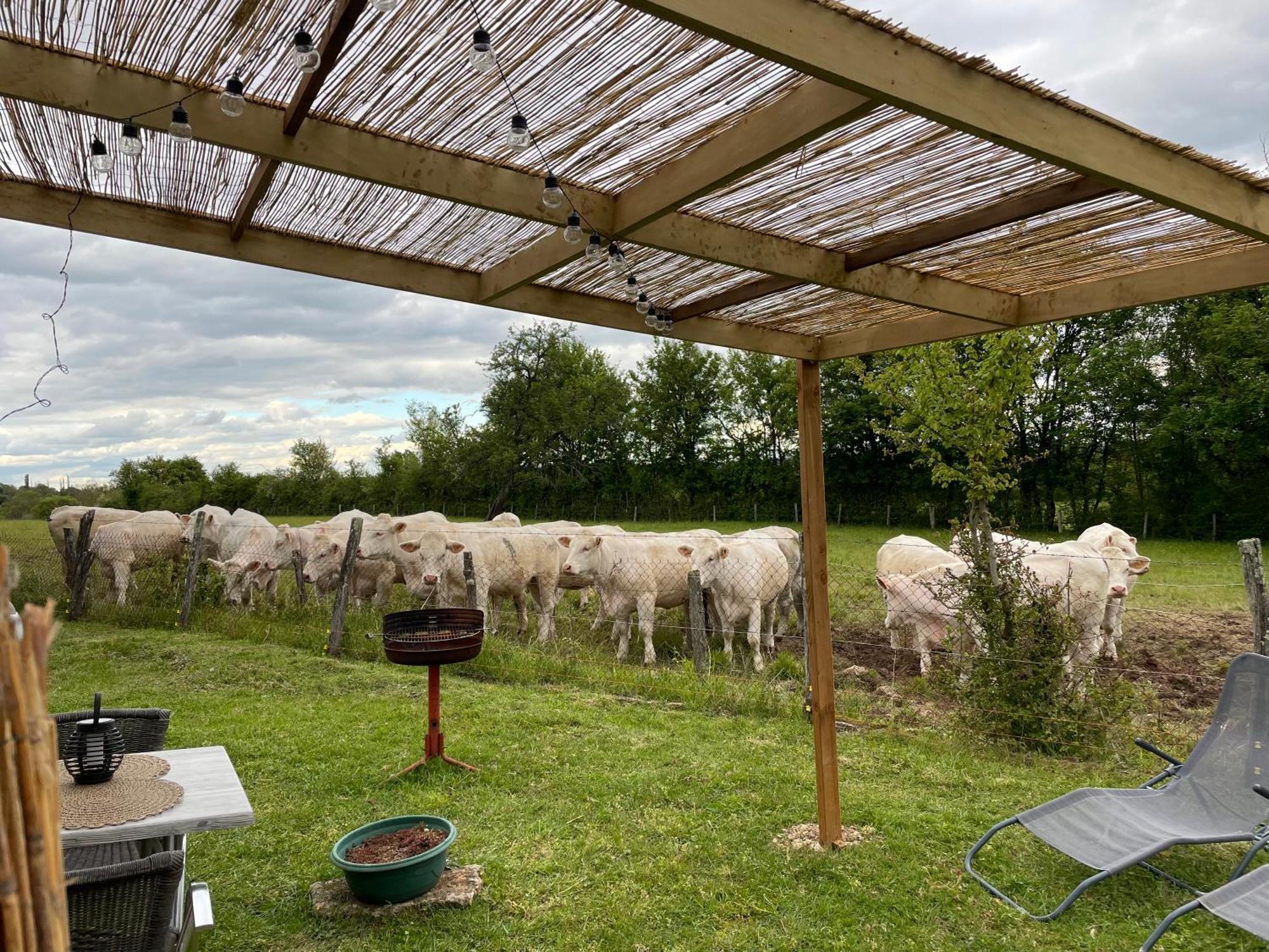 Caravane A La Nuitee Hotel Saint-Parize-le-Chatel Luaran gambar
